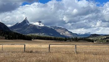 WyFB submits Grizzly Bear comments to U.S. Fish and Wildlife Service