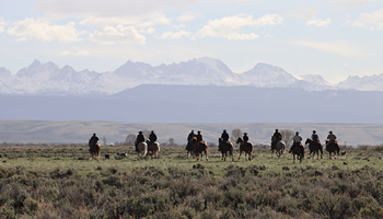 Governor Gordon Signs Executive Orders in Support of Wyoming consumers