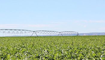 WyFB Statement on Harvest Fuel Relief Program