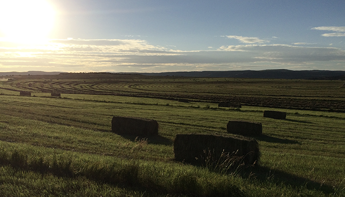 New Taxes Burdensome for Farm and Ranch Families - March 5, 2013