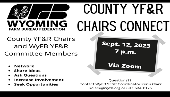 County YF&R Connect Video Conference with WYFB YF&R