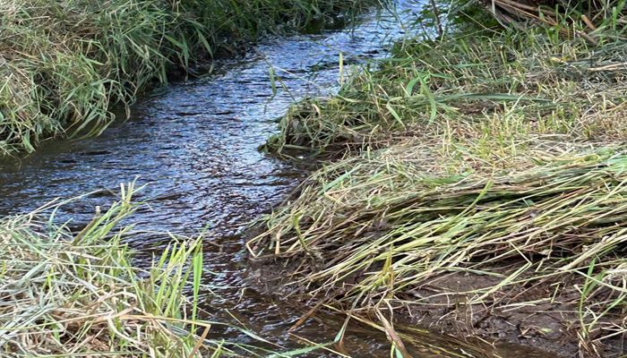 New WOTUS Rule Still Unfair to Farmers